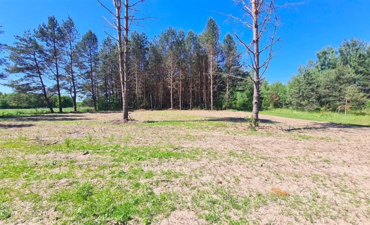 działka na sprzedaż - OLMONTY